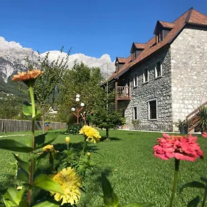 kompleksi-zorgji.albaniahotels.org/